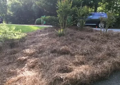 Efficient home remodelers