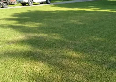 Professional home remodelers