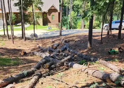 Reliable home remodelers